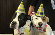 Charlie and Elsa thumbnail