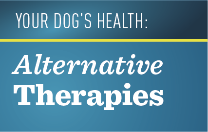 Alternative Therapies Image