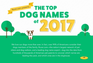 Rover image - top dog names 2017