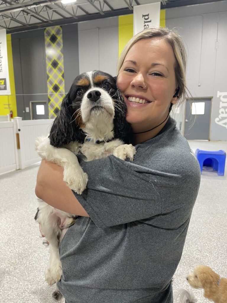 Work Here! Wagging Tails Pet Resort